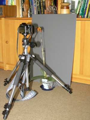 Photo-Shooting